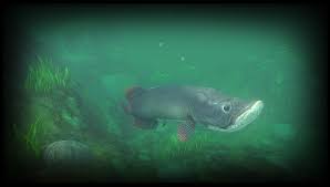 Should we add another tip? Update 0 10 1 River Rework Feed And Grow Fish Update For 1 April 2019 Steamdb