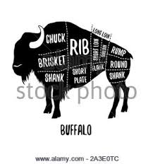Cow Cutting Scheme Butcher Shop Beef Vector Illustration