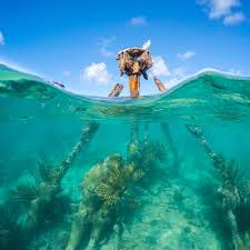 While only accessible via ferry or seaplane, this secluded florida national park is well worth the visit if you're looking for a premier camping destination. Tortugas Bound Exploring Florida S Last Piece Of Wilderness Passagemaker