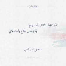 فكم سخط الأنام وأنت راض صفي الدين الحلي عالم الأدب words quotes arabic words arabic quotes