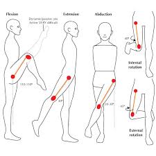 range of motion after a joint replacement milestones to hit