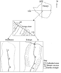 Image result for Eriochloa macclounii
