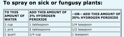 The Fern And Mossery Diluting Hydrogen Peroxide For Garden