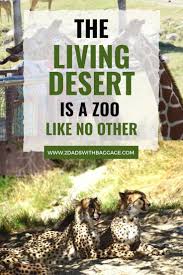 The Living Desert In Palm Desert Is A Zoo Like No Other Cool Places To Visit Best Places To Travel Halloween Travel