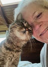 Boat Projects, an Amazing Cat, Dredging