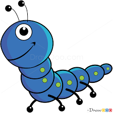How To Draw Centipede Insects Centipede Drawings Draw