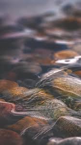 10 Relaxing Nature Mobile Wallpapers By U Launcher Medium Find the correct image in your mobile photo library, tap it and click on the box with arrow icon on the bottom left or top left of your screen. 10 relaxing nature mobile wallpapers