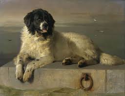 A Distinguished Member Of The Humane Society Wikipedia