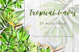 Download Tropical Leaves Watercolor Set Graphic By Mystocks Creative Fabrica SVG Cut Files