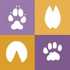 We did not find results for: The Pet Fund Home Facebook