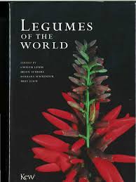 Image result for Microcharis angolensis