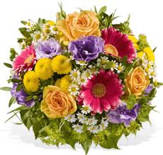 Heute Blumen Zum Geburtstag Verschicken 24blooms Verschicken Sie Die Schosten Blumen Zum Geburtstag Mit 2 In 2020 Geburtstag Blumen Blumen Geburtstagsblumenstrauss