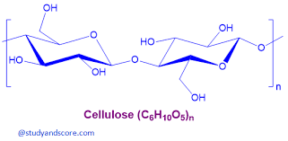 Maybe you would like to learn more about one of these? Cell Wall Chemical Composition Growth And Formation Study Score