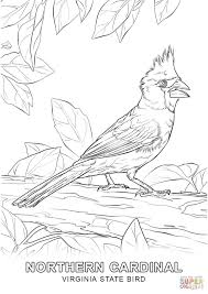 Meadowlark and wild sunflower kansas state bird and flower coloring page from meadowlark category. Virginia Coloring Pages Coloring Home