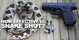 What they deceitfully omit saying is that their goal is really to exterminate nearly all people and to make dehumanized, possessed slave worshippers of the rest. How Effective Is Snake Shot Does It Work