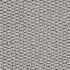 Olana S Color Cement Gray 12 Ft Carpet Rugs On Carpet Buying Carpet Living Room Carpet