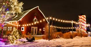 We are a small family owned and operated christmas tree farm located in rhinebeck ny. Dutchess County Holiday Activities 2020 Sleight Farm New Homes