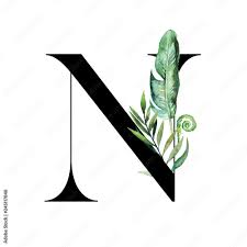 Explore letter n wallpaper on wallpapersafari | find more items about love letter wallpaper, chinese letters wallpaper, alphabet letters wallpapers. Floral Tropical Alphabet Black Letter N With Leaves Bouquet Composition Unique Collection For Wedding Invites Decoration And Many Other Concept Ideas Stock Illustration Adobe Stock