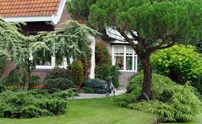 Baume Und Straucher Schmucken Den Garten Mit Blattern Bluten Fruchten Und Schoner Rinde Es Gibt Viele Arten U Straucher Garten Gartengestaltung Baume Garten