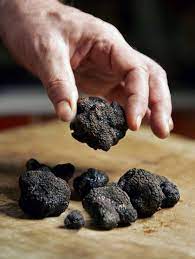 Searching For Black Truffles The Millionaire S Mushroom Perfectly Provence Food Truffles Stuffed Mushrooms