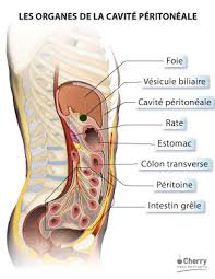 La péritonite est l'inflammation du péritoine. La Peritonite Definitions Symptomes Diagnostic Et Traitements