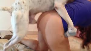 Mexican animal porn