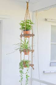 This Item Is Unavailable Hanging Plants Indoor Hanging Plants Hanging Plants Diy