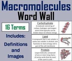 Pin On Science Word Wall Cards
