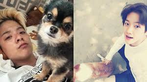 8 K Pop Stars And Celebs With Pets Cuter Than They Are Sbs Popasia