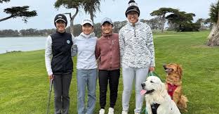 Nick Woo Player Profile