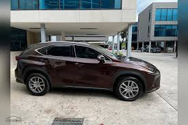 Image result for Autumn Shimmer 2018 NX