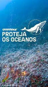 Musicas para download de oceanos kemuel , baixar e ouvir gratis , aqui encontra todas musicas recentes de oceanos kemuel nosso buscador de mp3. Proteja Os Oceanos Downloads