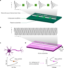 Axon-like active signal transmission | Nature