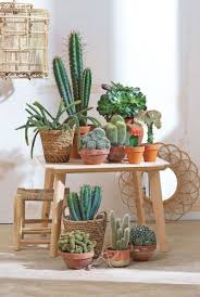 Dans cette série, nous voyons comment construire une salle de bains, de la base au résultat final. Les Cactus En Deco Interieure C Est Tendance Idees Inspirantes