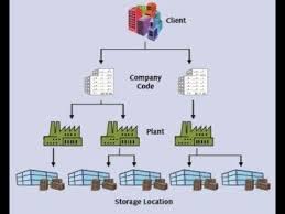Sap Materials Management Sap Mm Organization Structure 01 Sap Organization Organizational Structure