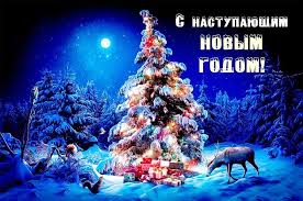 Поздравляю тебя с новым 2021 годом. Privet Pipl