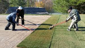 Maybe you would like to learn more about one of these? Sod Installation Delea Sod Farms