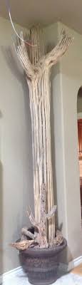 When you're searching for cactus nursery, cactus nursery near me, or saguaro cactus for sale, near mesa, gilbert, and queen creek a&p nursery can help! 10 Ft Tall Saguaro Cactus Skeleton Cactus Lamp Cactus Decor Southwest Decor