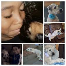 Happy 15th Birthday to our #8 Kaelynn Forrester. Enjoy your day KK!!!!!