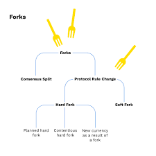 A hard fork requires all nodes or users to upgrade to the latest version of the protocol software. How Do Hard And Soft Forks Work Bitpanda Academy