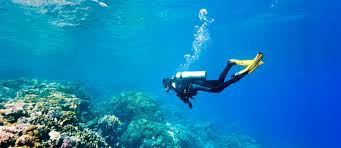 Competitors possess many of the same characteristics as gymnasts and dancers, including strength, flexibility, kinaes. Scuba Diving In Abu Dhabi Spots Equipment More Mybayut
