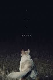 20) bucket ( ведро ). It Comes At Night Movie Review 2017 Roger Ebert