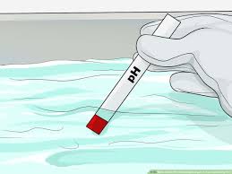 How can i remove algae from my pool liner, i have treated the water but algae remains on my liner. How To Get Rid Of Blackspot Algae In Your Swimming Pool 13 Steps