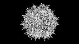 Image result for Black 1995 AAV