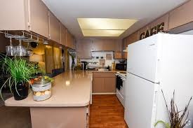Orleans apartments 310 south orleans avenue, tampa, fl 33609. South Tampa Apartments For Rent Tampa Fl Apartments Com