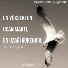En Yuksekten Ucan Marti En Uzagi Gorendir Olumlamalar Guzel Soz Ozlu Sozler