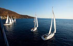 Racing sails are generally given a number to describe the sail's size. Types Of Sails Genoa Sail Sailingeurope Blog