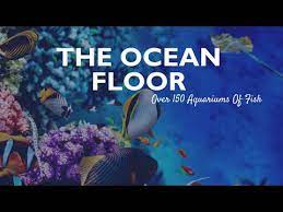 About Us Ocean Floor Store