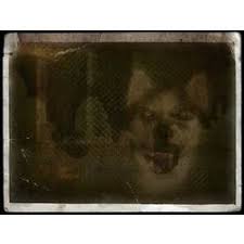One of the stories (their are many now) claimed that a woman had seen the picture and killed herself, and so her husband, for who knows what reason. Smile Dog Creepy Pasta Original