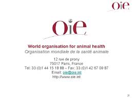 .for animal health, formerly the office international des epizooties is an intergovernmental organization coordinating, supporting and promoting animal disease control. World Organisation For Animal Health Oie Lyndel Post
